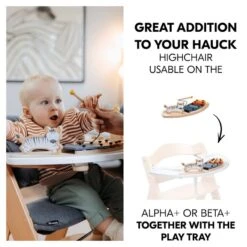 Hauck Play Music Musikspielzeug Aus Holz Für Alpha+ Spielbrett Zebra 16 Hauck Play Music Musikspielzeug Aus Holz Für Alpha+ Spielbrett Zebra -Babyprodukte Geschäft 4894352808058.pt02.play music