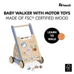 Hauck Learn To Walk Motorik-Lauflernwagen -Babyprodukte Geschäft 4894352813120.pt01.learn to walk skills